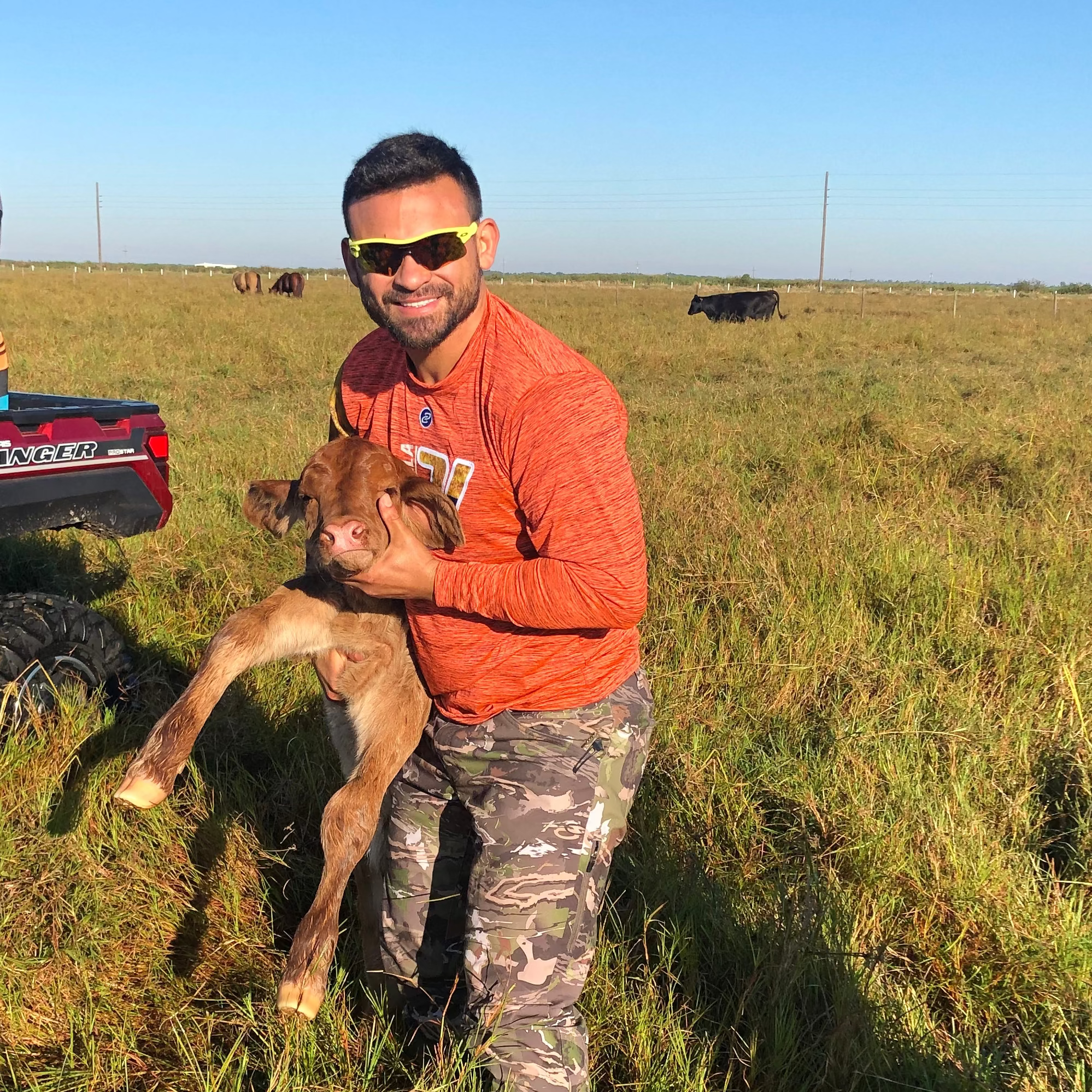 Man holding a calf in a grassy field.